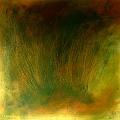 elementi filiformi (2004) 50x50